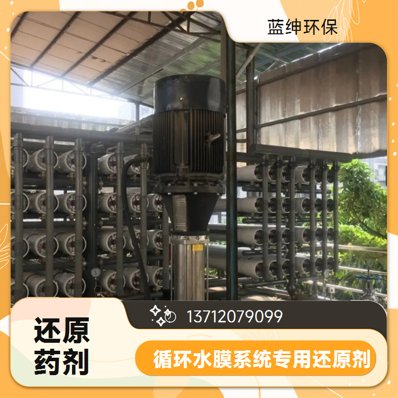 蓝绅环保 工业级除垢剂 反渗透膜还原剂 纯水系统预处理 品牌厂家