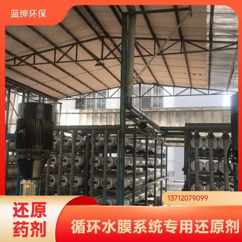 蓝绅环保 ro膜循环水处理 还原剂 防止膜氧化去除余氯 厂家供应