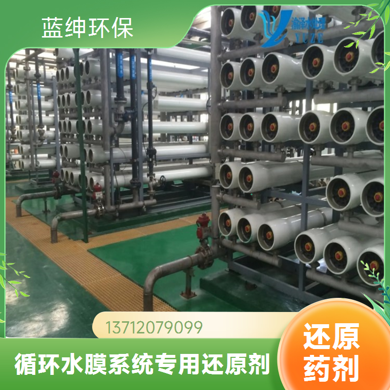蓝绅环保 ro膜循环水处理 还原剂 有效解决水中余氯 厂家供应