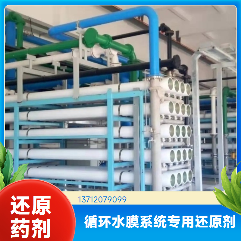 蓝绅环保 ro膜循环水处理 强力还原剂 有效解决水中余氯 厂家直供