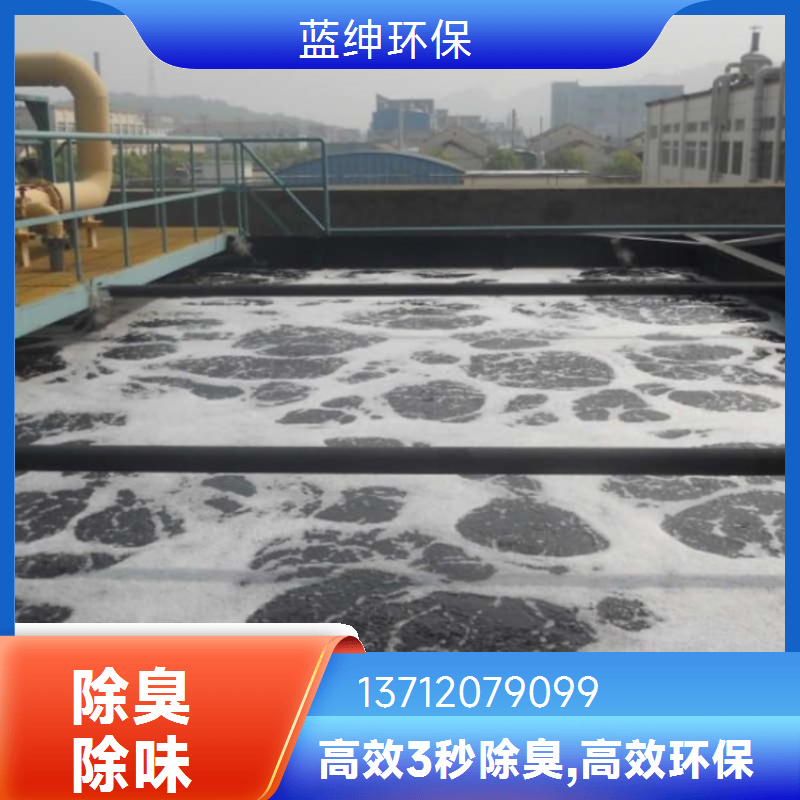 蓝绅环保 分解型植物萃取液 喷淋塔除臭剂 企业车间去味剂 厂家现货