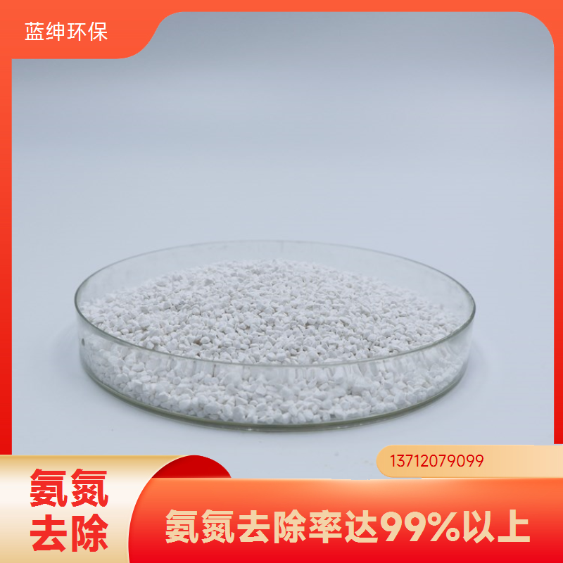 污水氨氮去除剂 纺织印染行业高效污水处理药剂问题氨氮降解剂SM-1