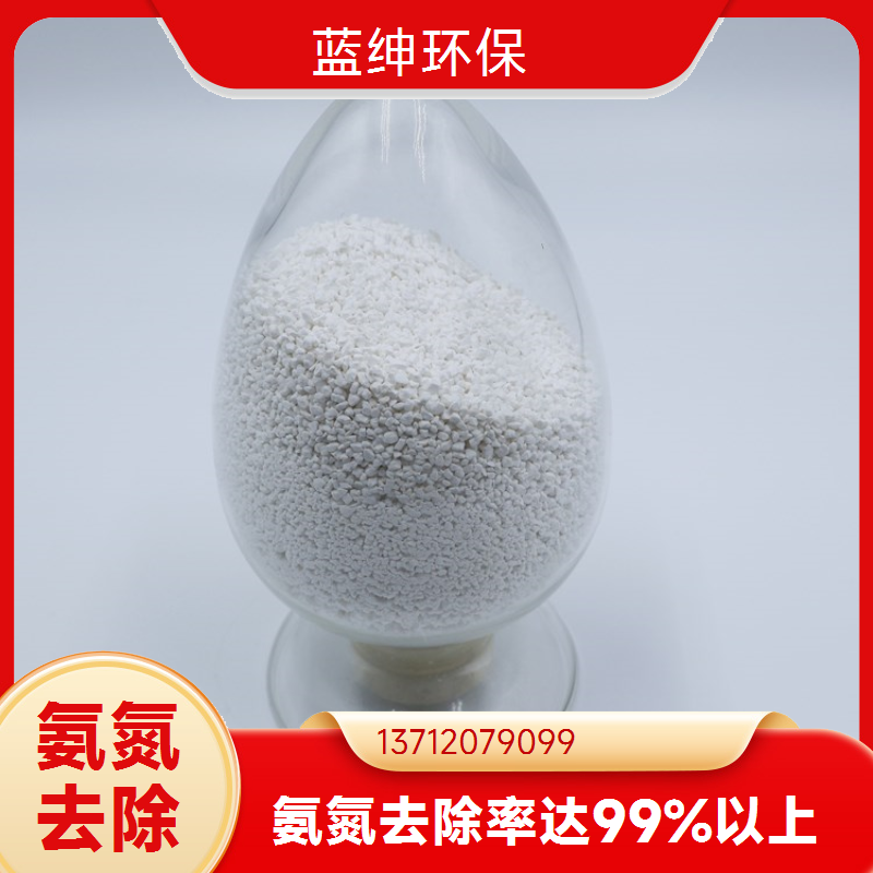 易于使用 废水氨氮去除剂 化工污水适用 室温阴凉储存 蓝绅环保