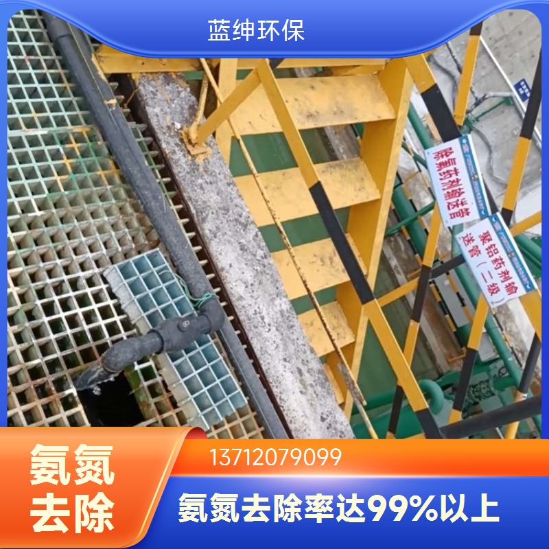 电镀废水污水处理除磷剂 脱色除臭降COD 绿色环保 蓝绅环保