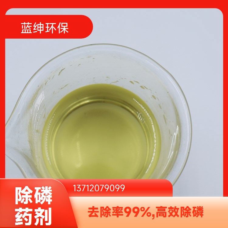 市政废污水 通风密封储存 按需定制 絮凝剂除磷剂 蓝绅环保