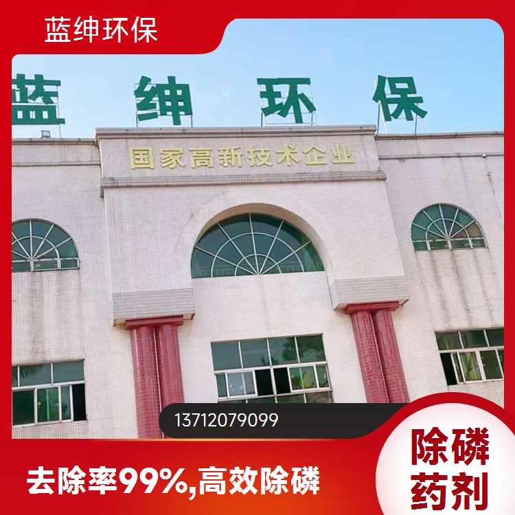 蓝绅环保 出水清澈 市政废污水 除磷剂净水剂 支持定制