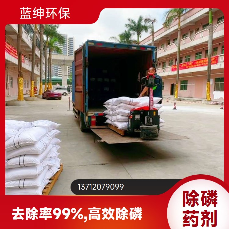聚合氯化铝铁 溶解迅速 净化效果好 降低COD 蓝绅环保