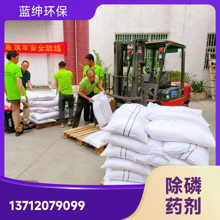 聚合硫铁 60%含量 80目 水处理净水剂 吸附性强 溶解性好 蓝绅环保