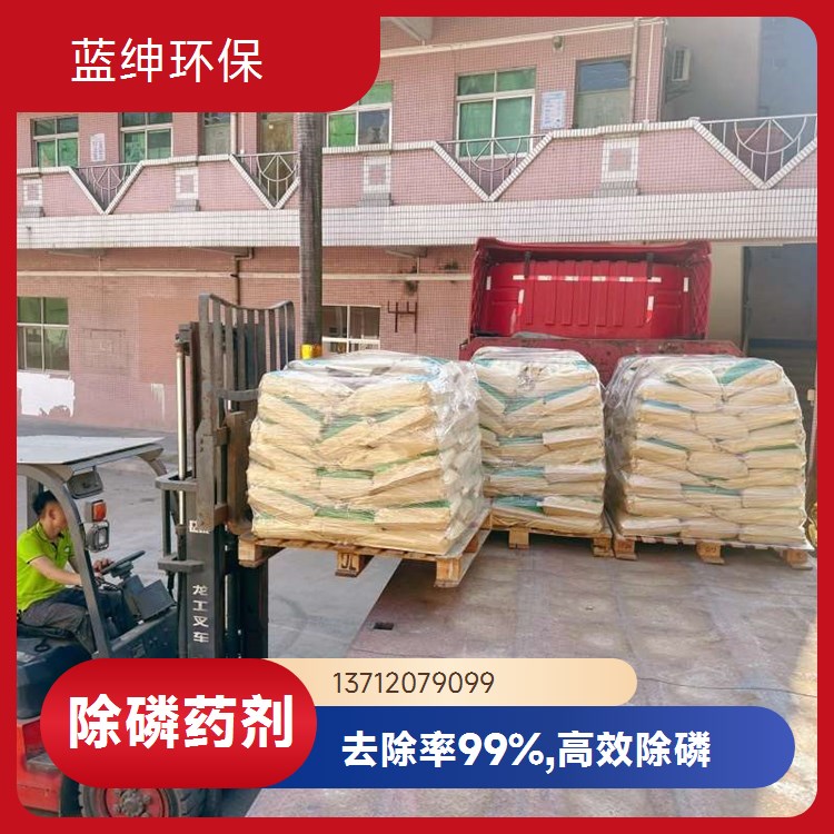 聚合硫铁 30%含量 80目 工厂污水处理 絮凝沉淀 脱氮除磷 蓝绅环保