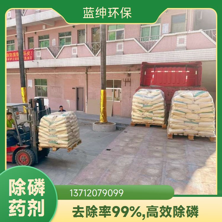 聚合氯化铝 工业级 现货直发 水处理药剂齐全 质量稳定 蓝绅环保