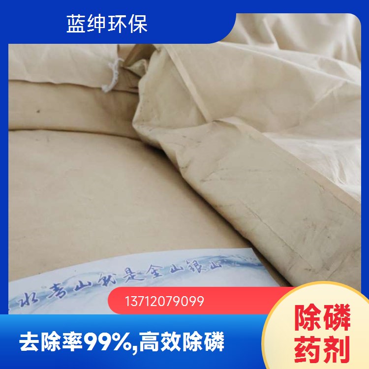 自来水厂用聚合铝硫酸铁河湖净化剂 絮凝成型快 蓝绅环保