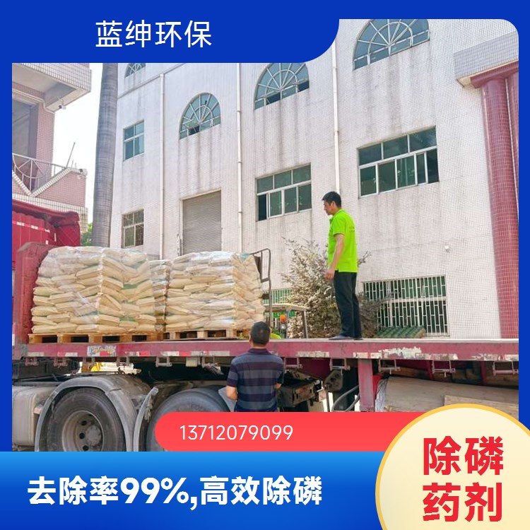 聚合硫铁 99%含量 100目 工厂污水处理 絮凝沉淀 脱氮除磷 蓝绅环保