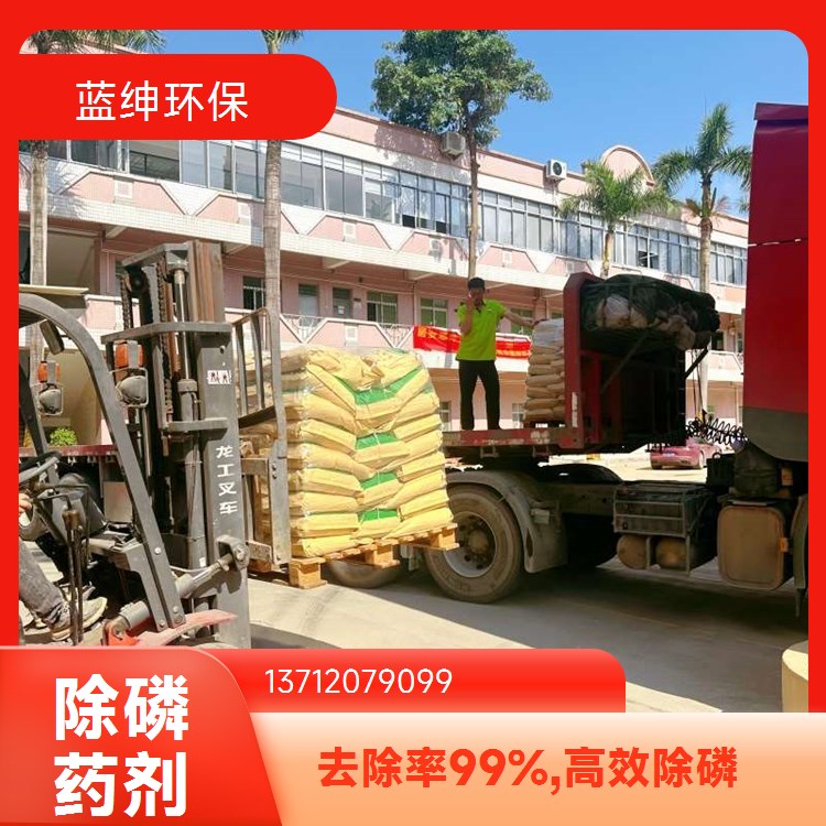 净水絮凝剂 高分子聚合物污水处理 蓝绅环保水处理
