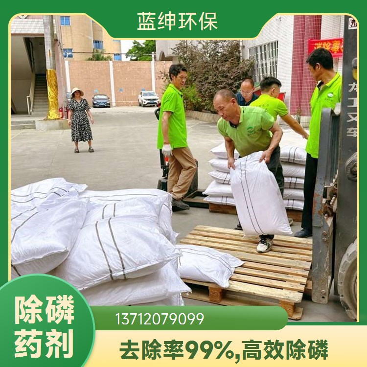 高效聚合氯化铝 污水处理絮凝剂 PAC厂家直供 蓝绅环保