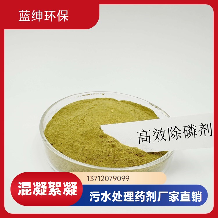 密封储存 改善水质 化工厂适用 污水脱色絮凝剂 蓝绅环保