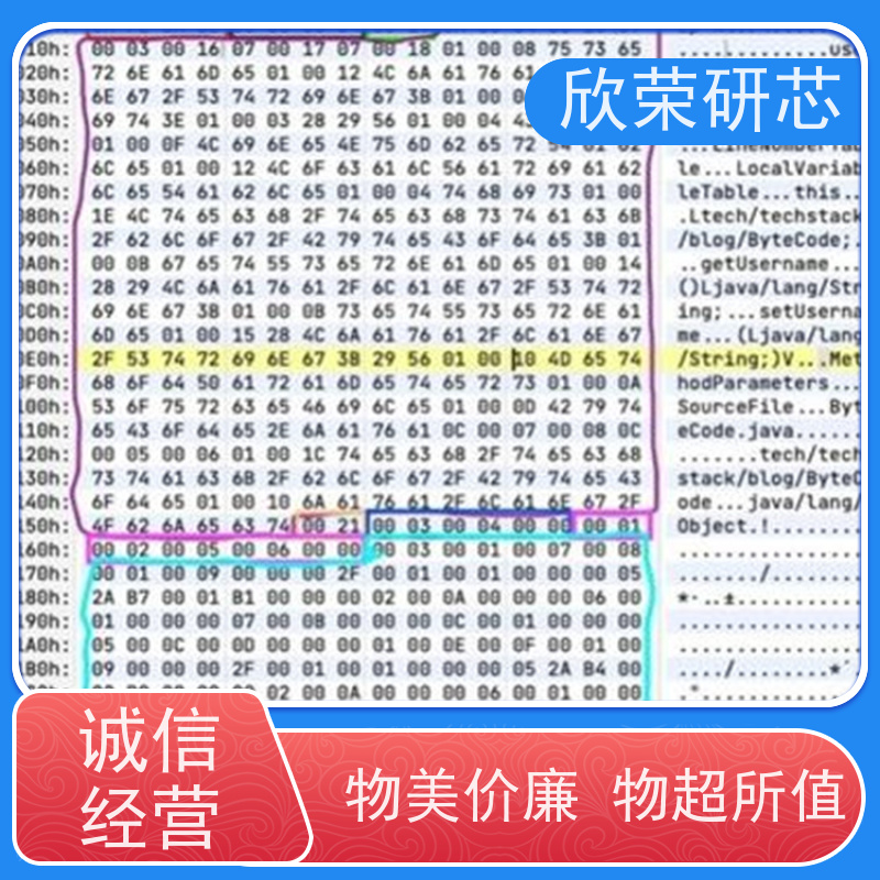单片机程序反汇编 芯片解密 IC反编译功能修改