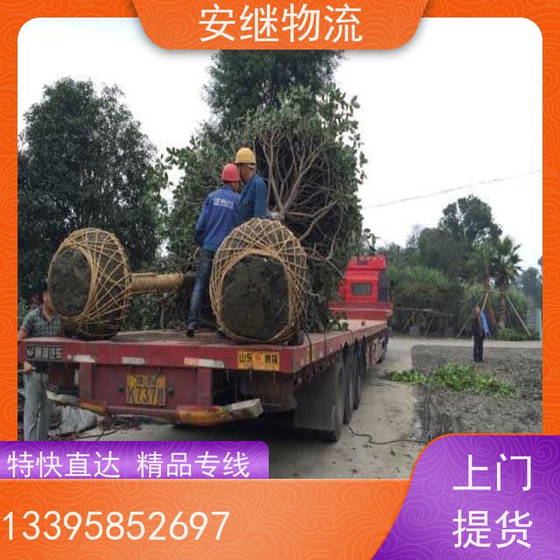 安继 承接柯桥到阳春物流公司 直达货运 零担整车一站式专线运输