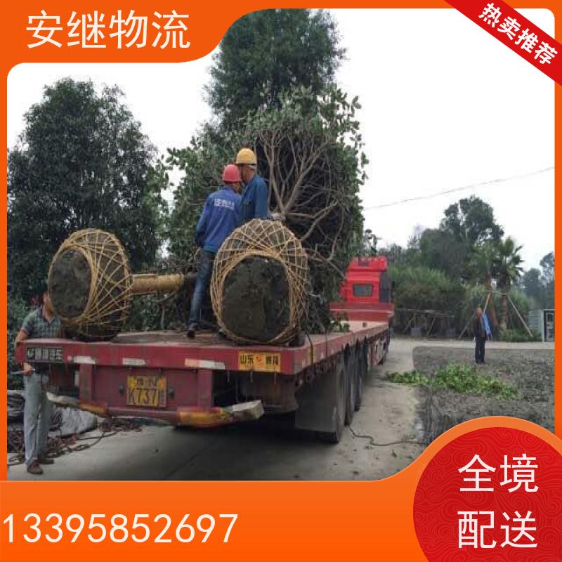 安继 柯桥到阳江物流公司直达货运 零担整车一站式专线运输