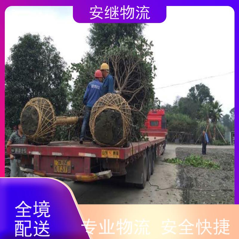 浙江安继 柯桥到巩义物流公司 零担整车 大件专线运输 一站式直达托运