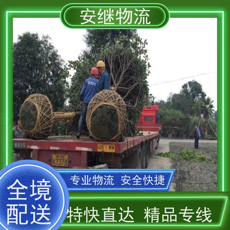 浙江安继 柯桥到偃师物流公司 零担整车 大件专线运输 一站式直达托运