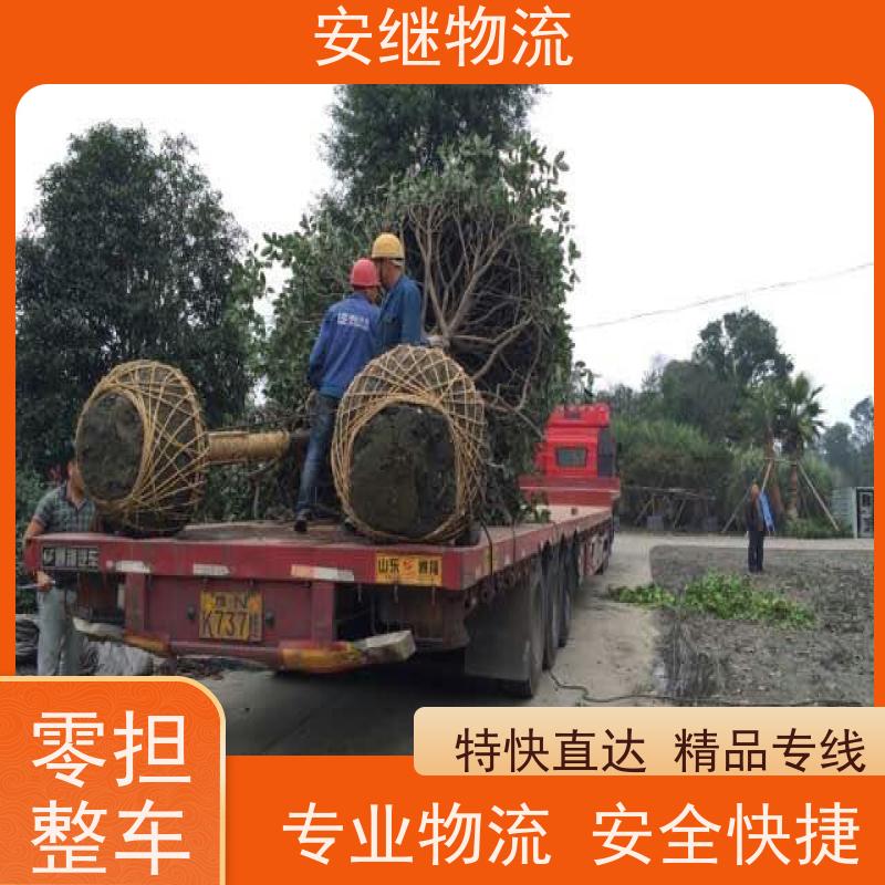 浙江安继 绍兴到北安物流公司 快运直达 精品专线 一站式服务