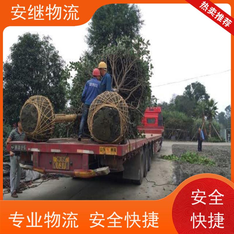 绍兴安继 柯桥到自贡物流公司 货运快运 直达专线 零担整车 安全快捷