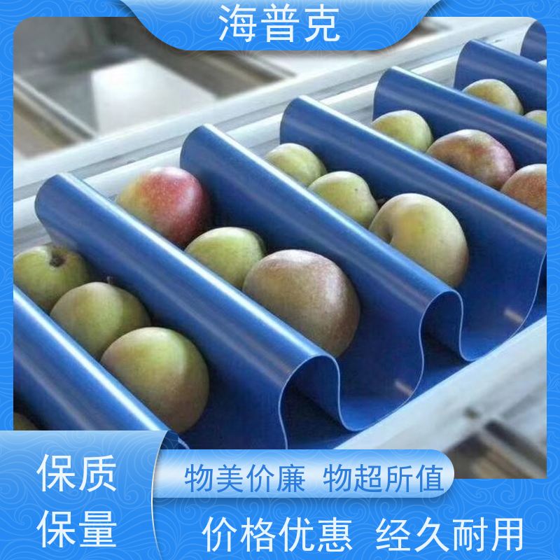 海普克 菱形花纹输送带 支持加工 小型食品粮食 饼干糖果生产线