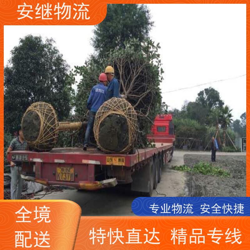 绍兴安继 柯桥到普兰店物流公司 货运快运 直达专线 零担整车 安全快捷