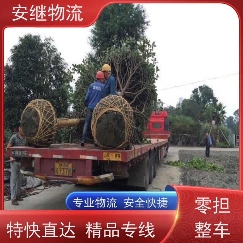 绍兴安继 柯桥到图们物流公司 货运快运 直达专线 门对门一站式运输
