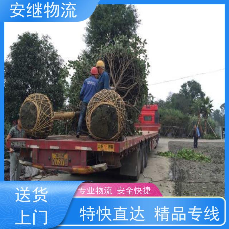 绍兴安继 柯桥到桦甸物流公司 精品专线 特快运输 零担整车 安全快捷