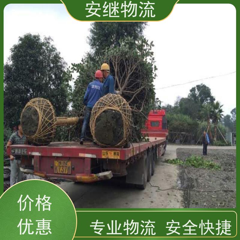 绍兴安继 柯桥到灯塔物流公司 精品专线 特快运输 零担整车 安全快捷
