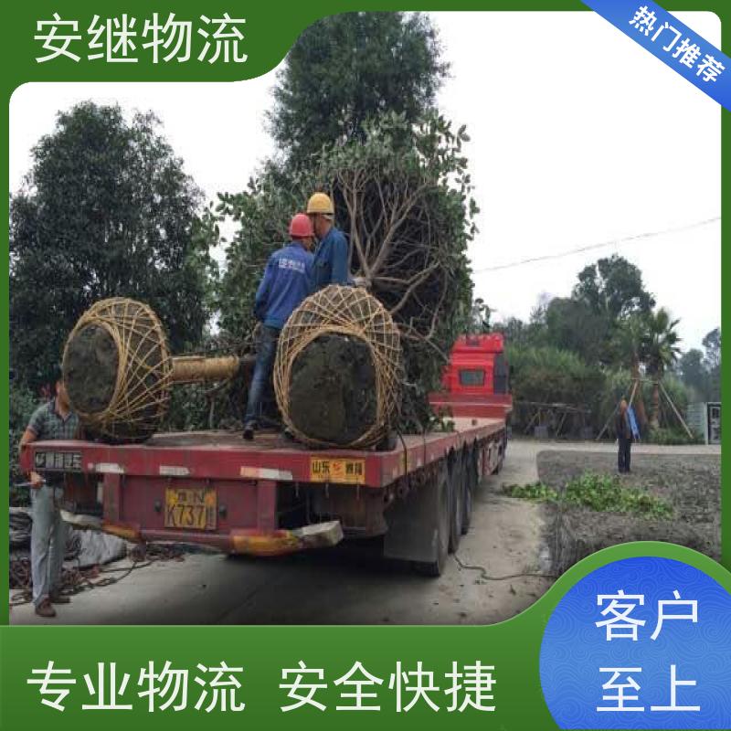 绍兴安继 柯桥到葫芦岛物流公司 精品专线 特快运输 零担整车 安全快捷