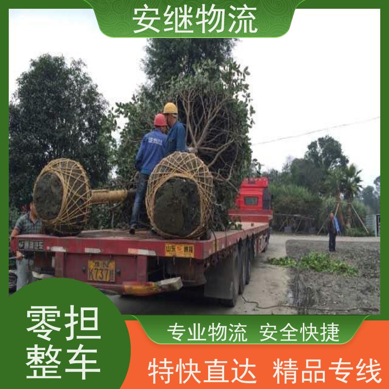 绍兴安继 柯桥到调兵山物流公司 精品专线 特快运输 零担整车 安全快捷