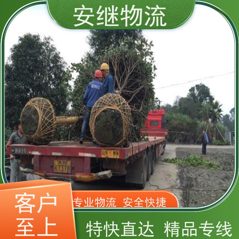 绍兴安继 柯桥到营口物流公司 精品专线 特快运输 零担整车 安全快捷
