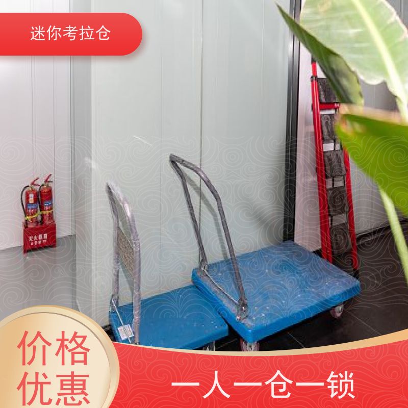 迷你考拉仓库租赁公司支持定制详情电联深圳小型自助仓