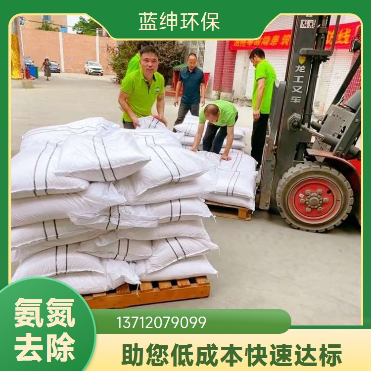 大量批发 易于投加 抗低温性能 氨氮去除剂 蓝绅环保