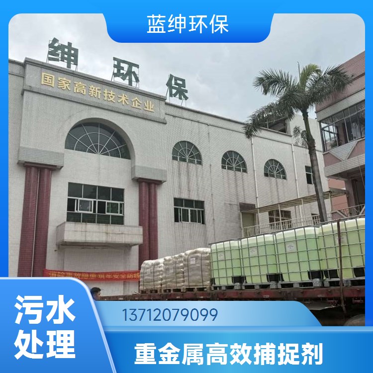 造纸助剂聚丙烯酰胺1200WPAM（蓝绅科技）高效环保