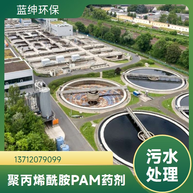 蓝绅环保 供应水处理阴离子聚丙烯酰胺 化工污水处理药剂絮凝剂