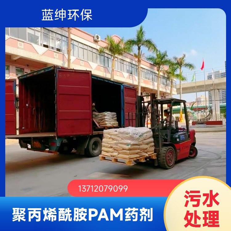 洗煤污水专用聚丙烯酰胺 CAS号9003-05-8 阴离子白药 PAM