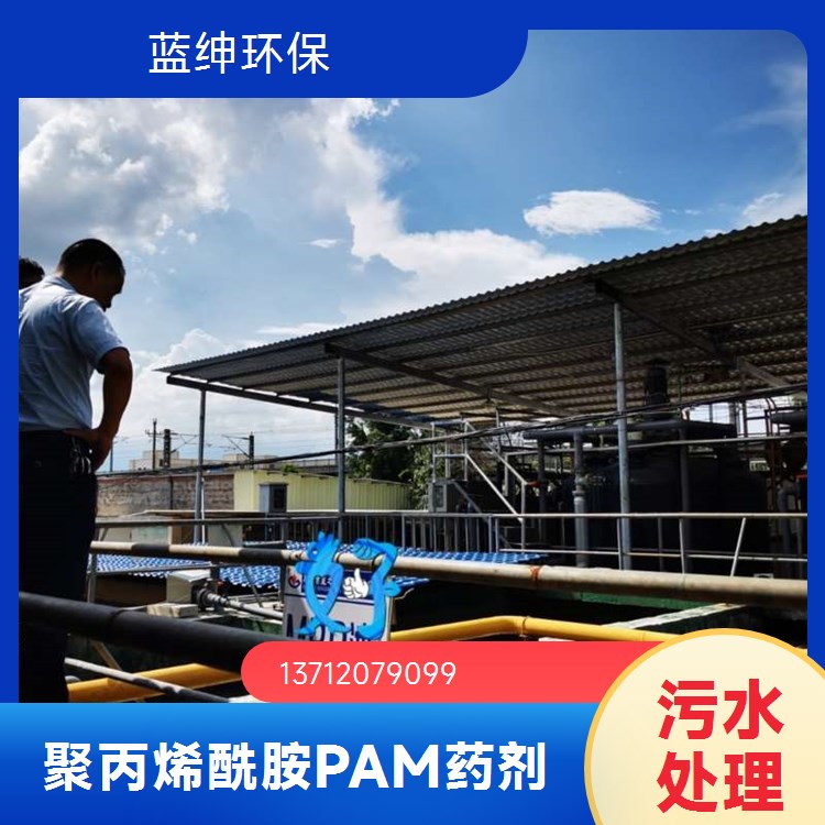 蓝绅环保 污水处 理专用 聚丙烯酰胺生产 有效成分高 使用范围广