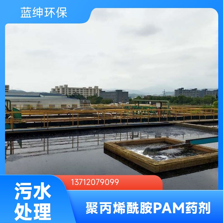蓝绅环保 污水净化絮凝剂 离子型聚丙烯酰胺 量大从 优快速发货