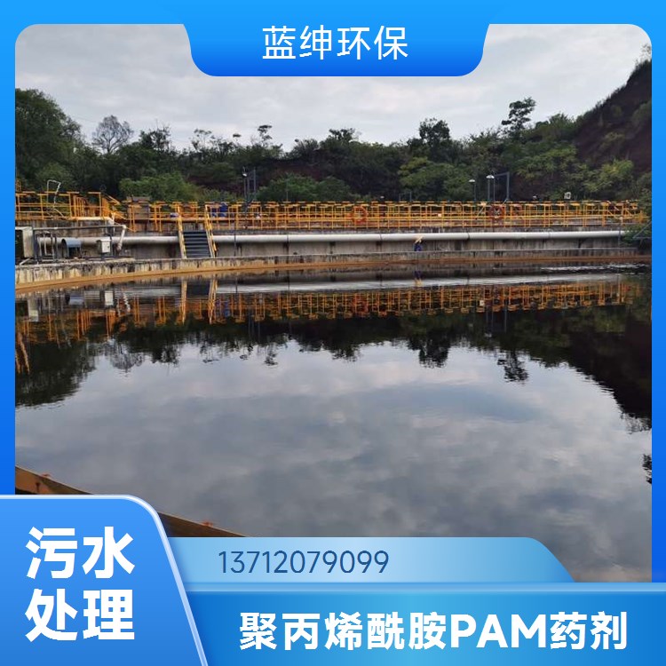 蓝绅环保 聚丙烯酰胺粉末 有效成分高 库存充足 量大 从优