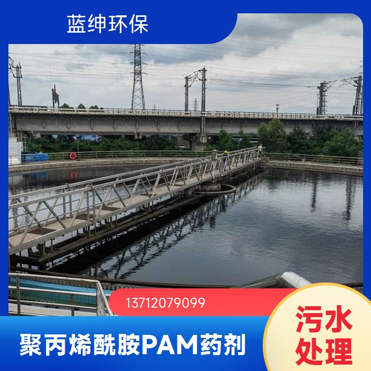 蓝绅环保 工业级聚丙烯酰胺 溶解性高速度快 便于储存