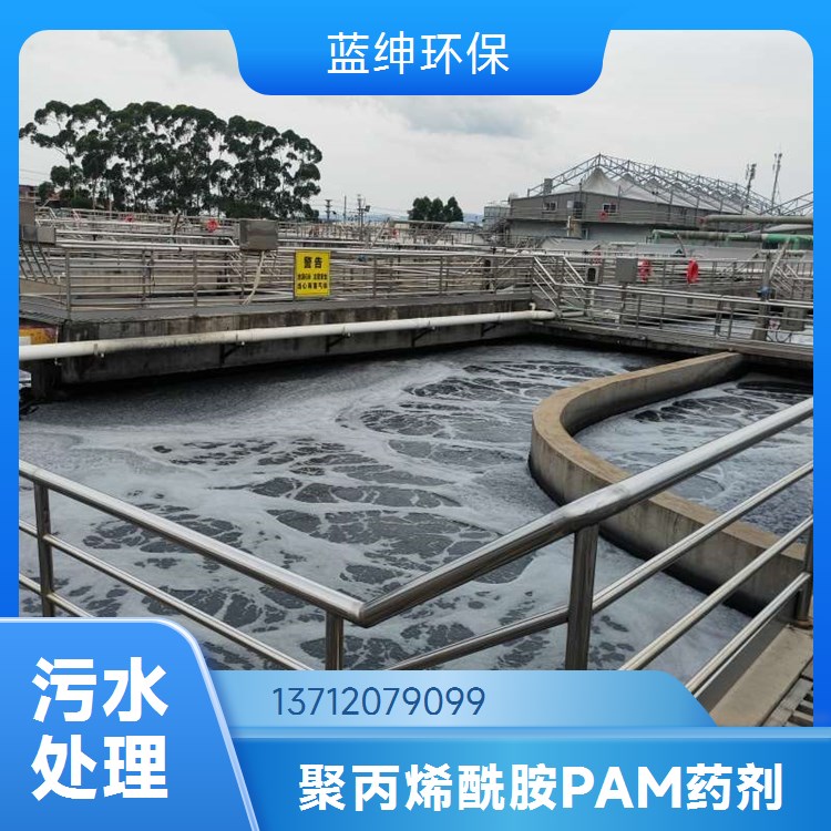 蓝绅环保 聚丙烯酰胺PAM 有效成分高 应用范围广泛