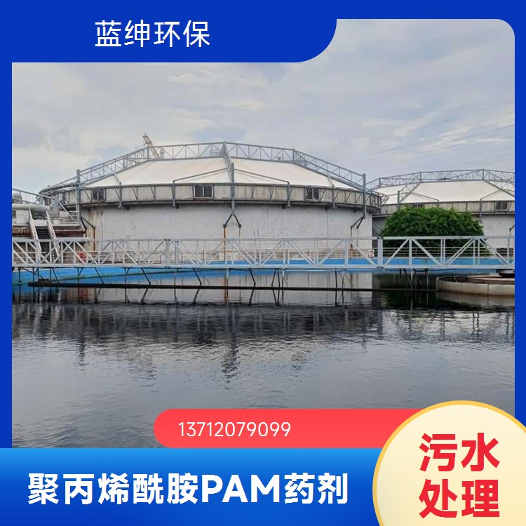 聚丙烯酰胺厂家 蓝绅环保 污水处理专用 活性好过滤性强 工厂发货