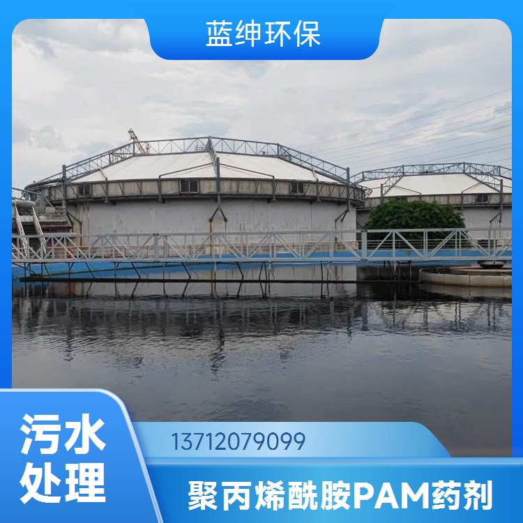 聚丙烯酰胺厂家 蓝绅环保 污水净化絮凝剂 适应性能强 工厂发货
