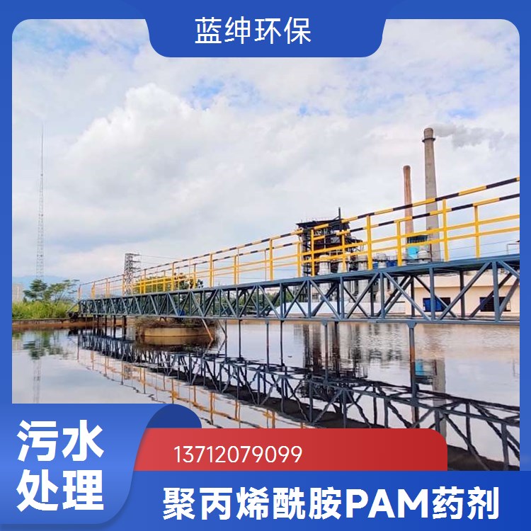 蓝绅环保 白色粉粒 聚丙烯酰胺生产 吸附能力强 污水处理净水凝絮剂
