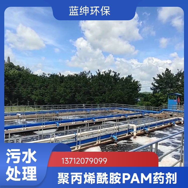 聚丙烯酰胺PAM 优质材料应用广泛 污水处理剂 蓝绅环保 工厂发货