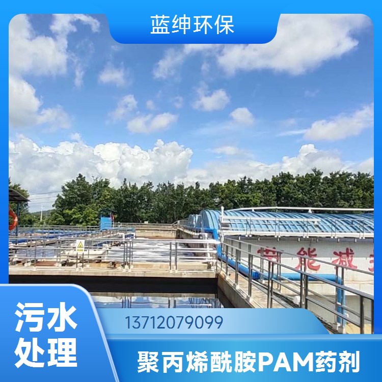 聚丙烯酰胺生产厂家 污水处理剂 应用范围广泛 沉淀速度快 蓝绅环保