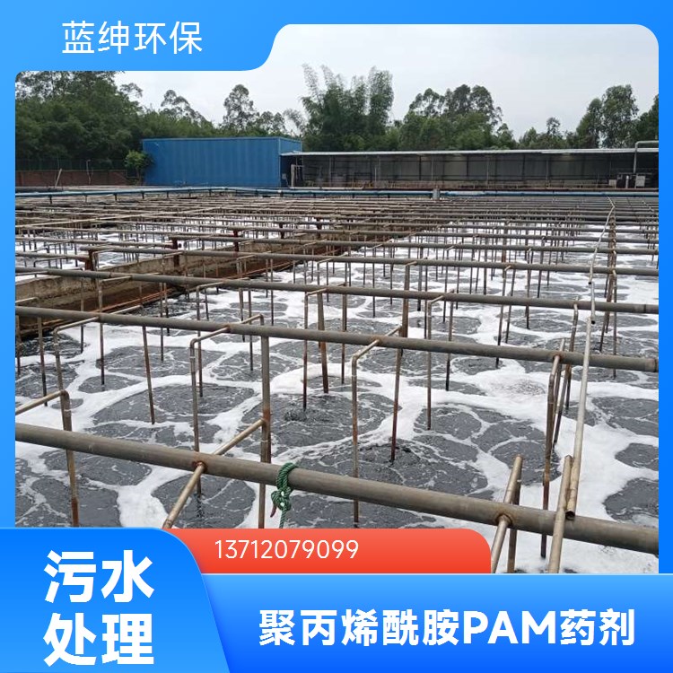蓝绅环保 聚丙烯酰胺 有效成分高 使用范围广 污水处理净水凝絮剂